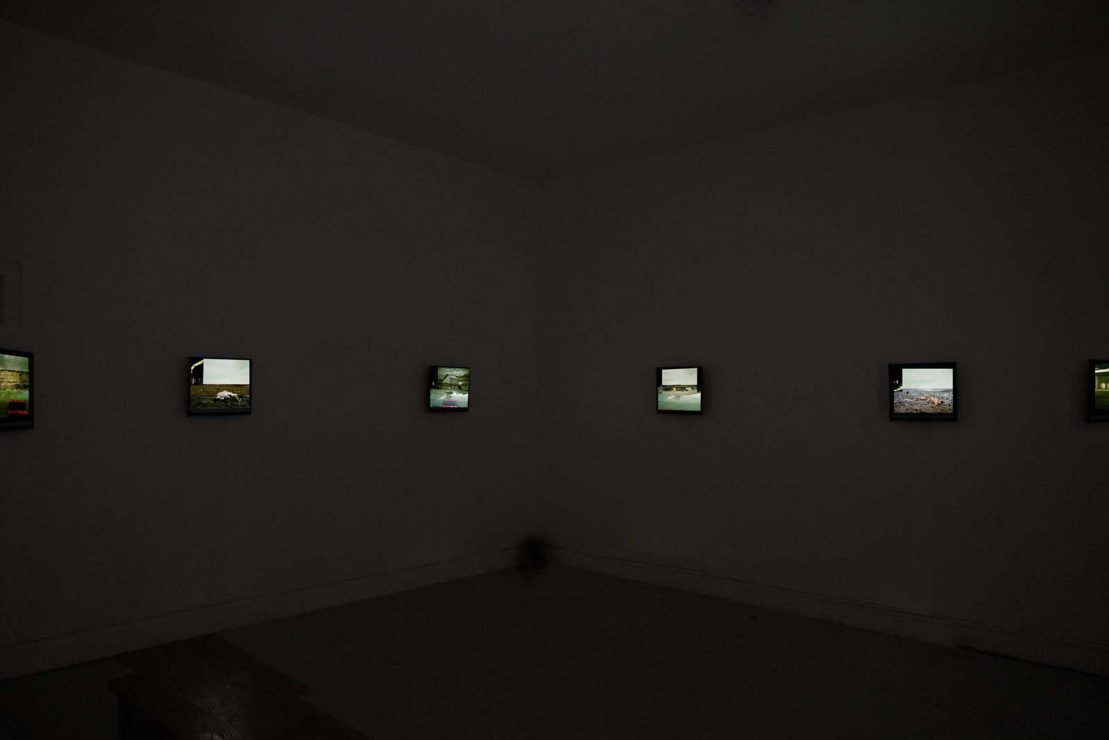 Galway Arts Centre, Ireland, 2010 (solo show). Curated by Maeve Mulrennan.