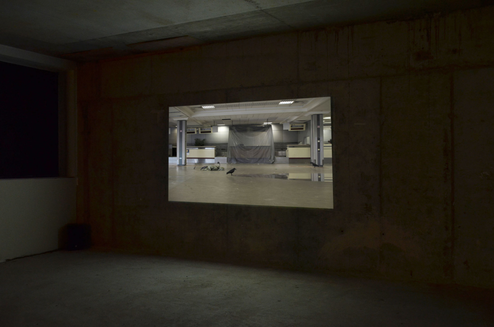 Exhibition view, Drogheda Arts Festival, 2015.