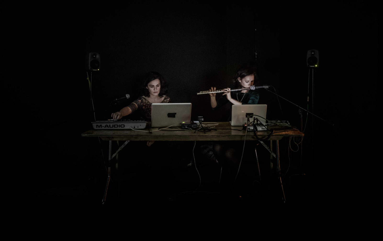Reports to an Academy: Live electronic performance by Linda & Irene Buckley, RHA, Dublin, 2015. Photo: Mike Hannon.