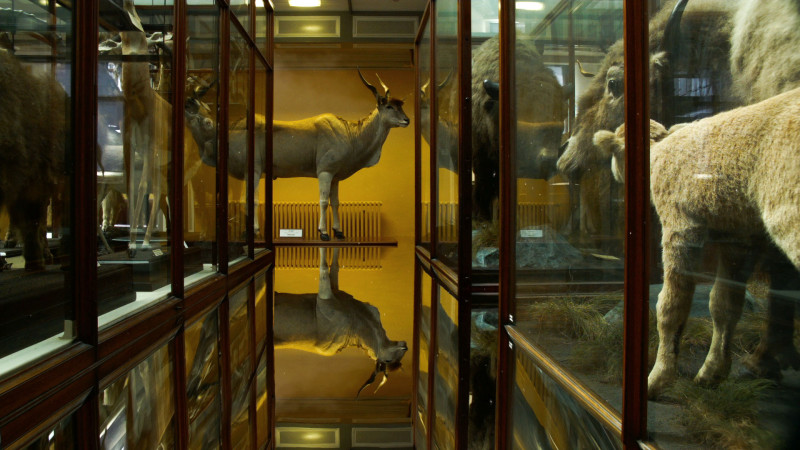 Reports to an Academy #1