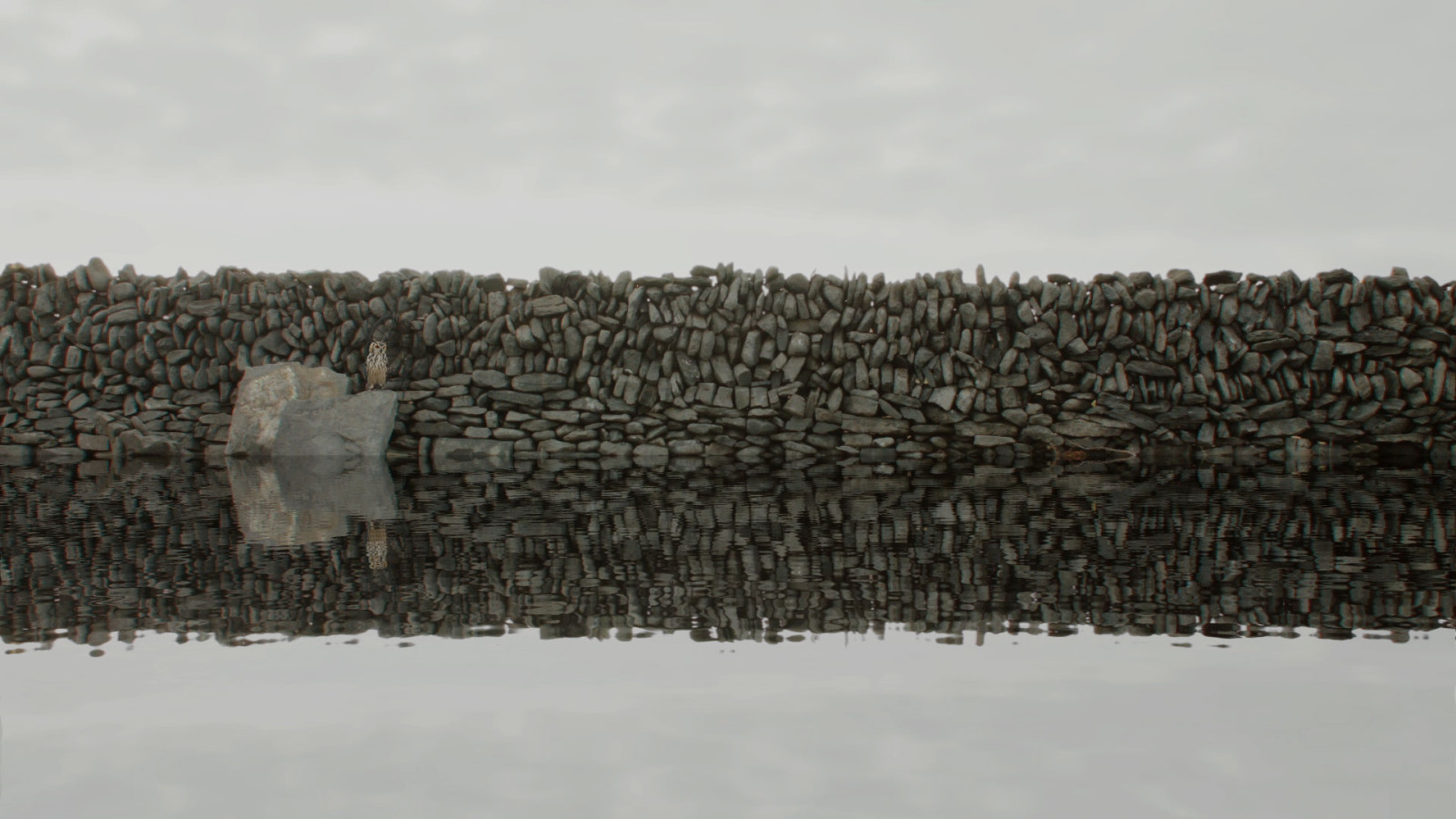 Reports to an Academy #3