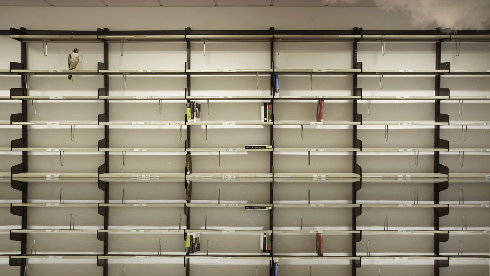 Reports to an Academy #4